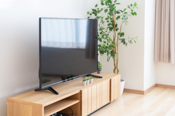 TV Stand Assembly in Orange Park